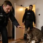 Συμβολική εικόνα γάτας σε αμυντική στάση μπροστά σε αστυνομικούς μέσα σε διαμέρισμα