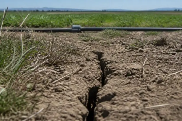 Ein schmaler Riss verläuft durch trockenen Ackerboden, dahinter ist eine Bewässerungsleitung in einer flachen Agrarlandschaft zu sehen.