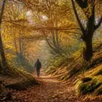 Symbolbild eines herbstlichen Waldwegs in Griechenland mit buntem Laub und einer wandernden Person