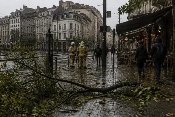 Ισχυροί άνεμοι και πεσμένα κλαδιά σε δρόμο των Βρυξελλών κατά την καταιγίδα Austen