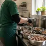 Συμβολική εικόνα εργαζομένης καταφυγίου που ετοιμάζει μαγειρεμένη τροφή για σκύλους σε ανοξείδωτα μπολ